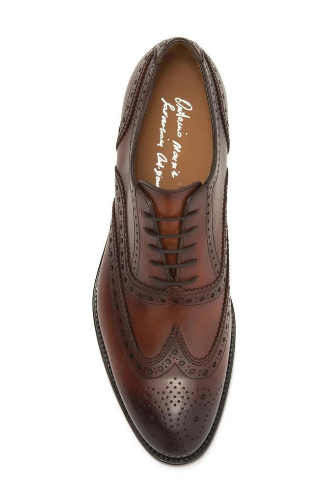 Antonio Maurizi Wingtip Oxford 5