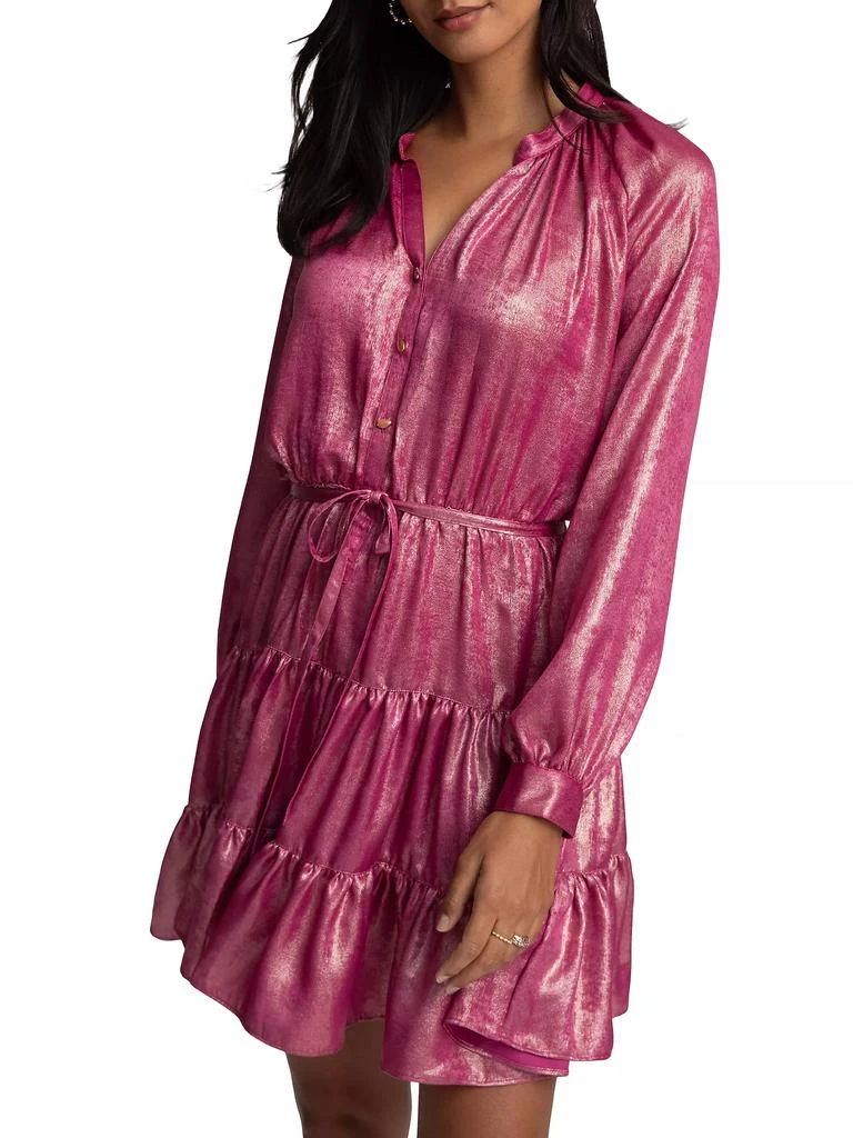 Robert Graham Sydney Metallic Tiered Minidress 3