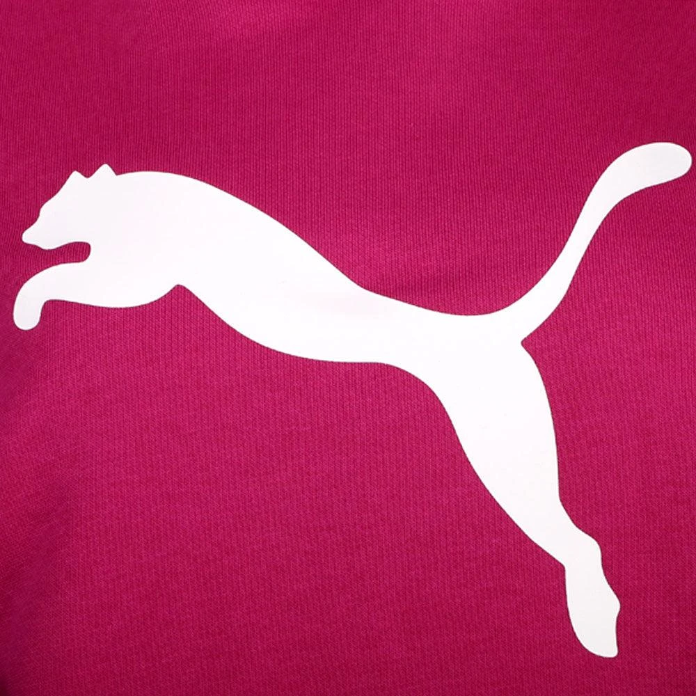 Puma Essentials Big Cat Logo Pullover Hoodie 3