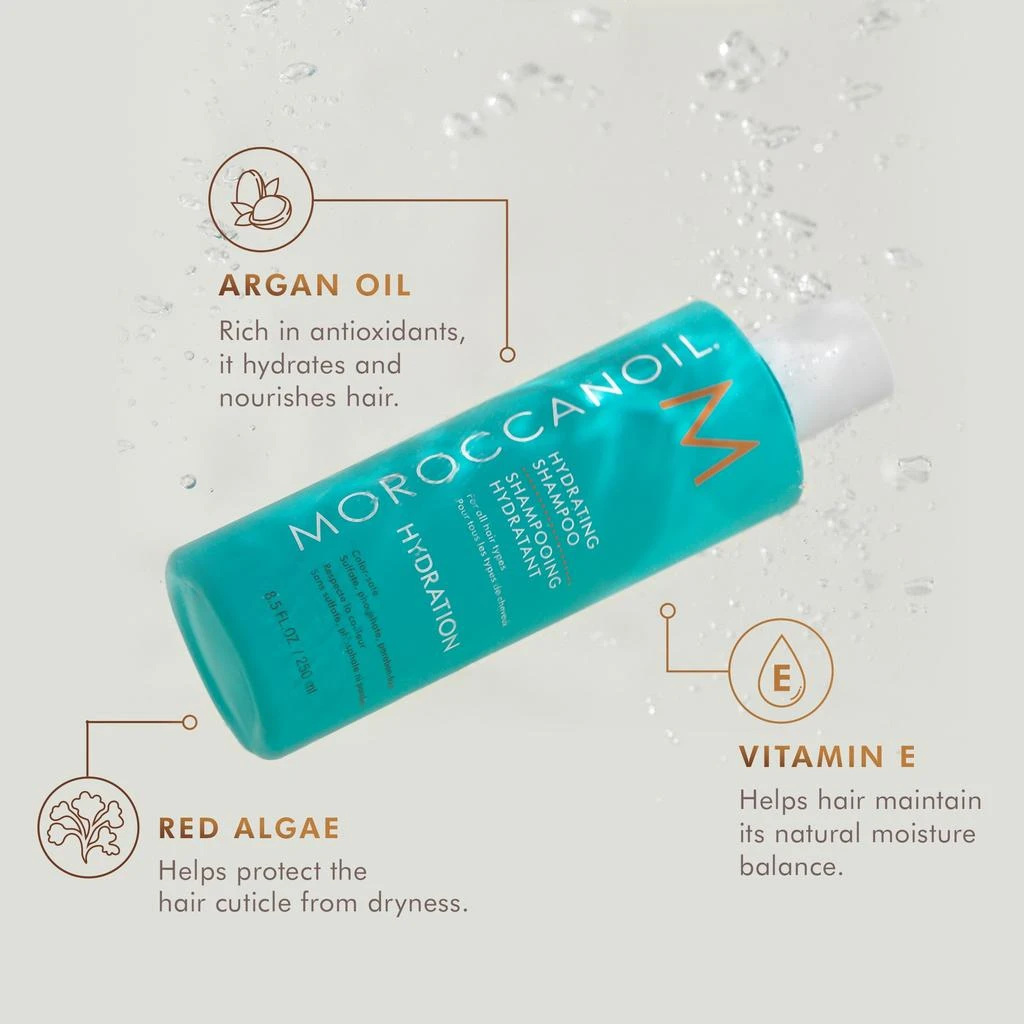 Moroccanoil Moroccanoil Hydrating Shampoo 8.5 oz 2