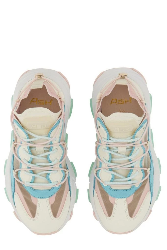 Ash Ash Extra Bis Sneakers 5
