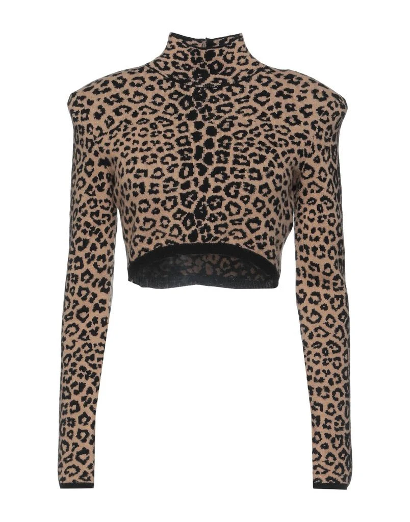 Dundas Turtleneck 1