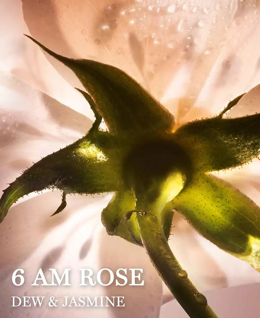 Lancôme Absolue 6 AM Rose Eau de Parfum 3