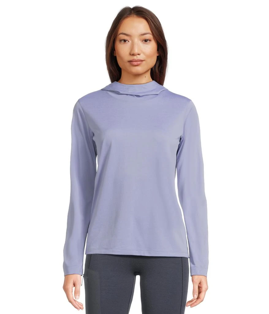 Arc'teryx Taema Hoodie 1