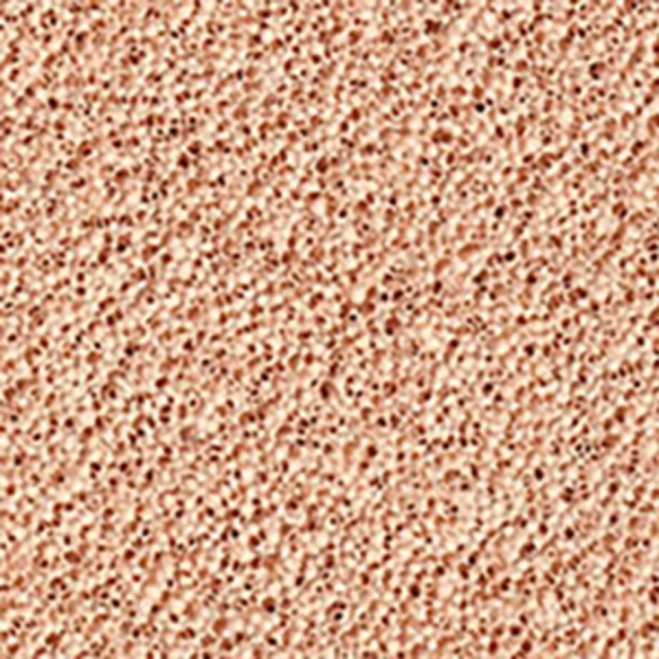 Gucci Cushion De Beauté Compact Foundation SPF 20 PA++ - Refill 6