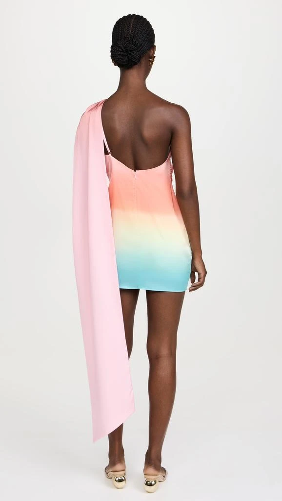 BAOBAB Ari Mini Dress 2