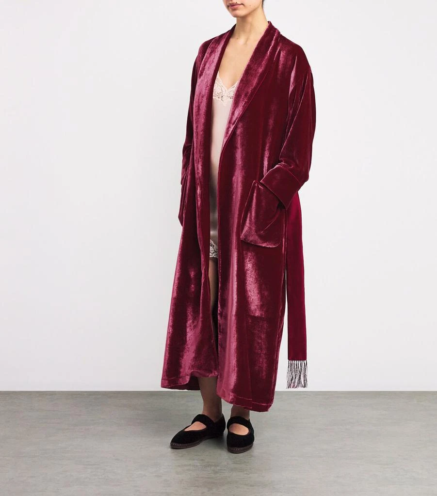 Daniel Hanson Velvet Silk-Lined Robe 2
