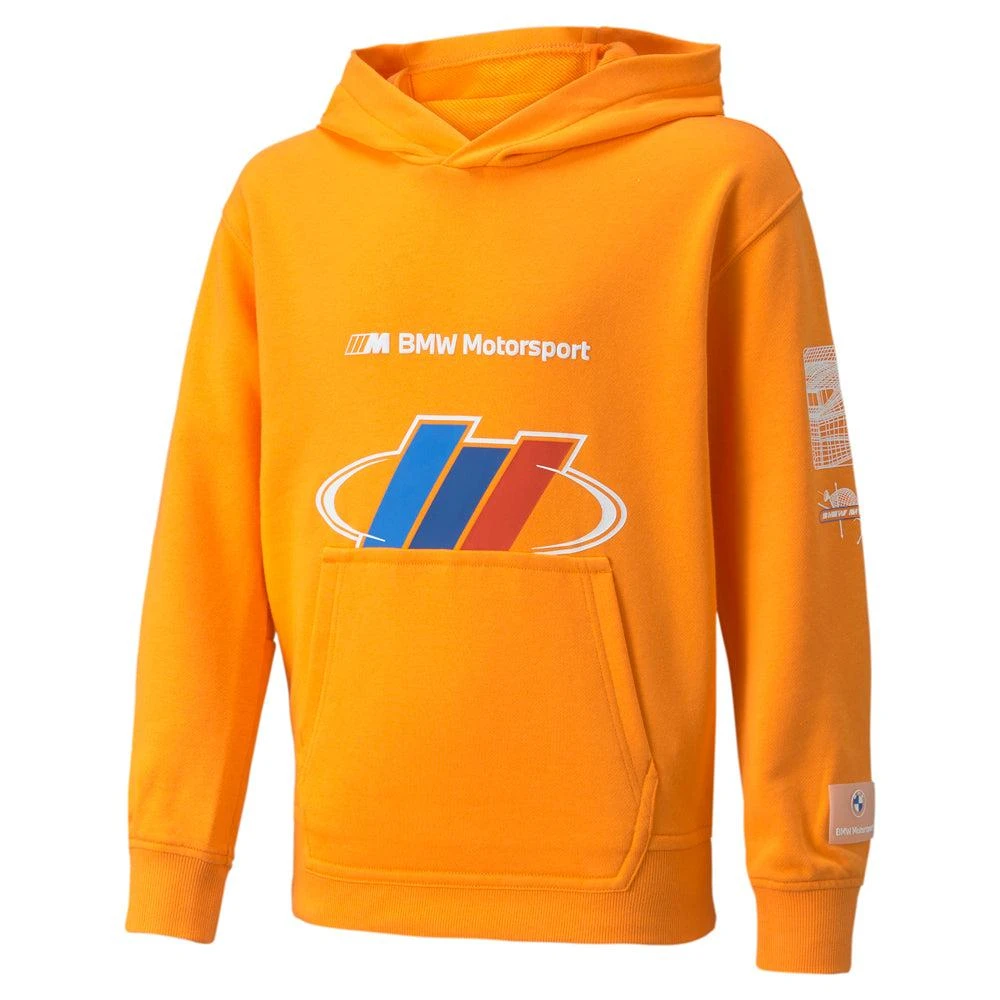 Puma BMW M Motorsport Street Pullover Hoodie (Youth)