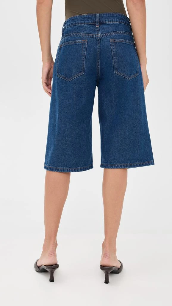 Lioness Kurt Jorts 2