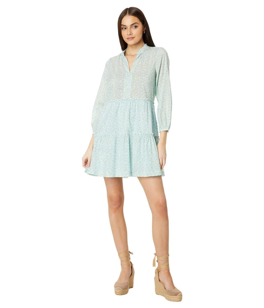 Vineyard Vines Floral Tiered Dress 4