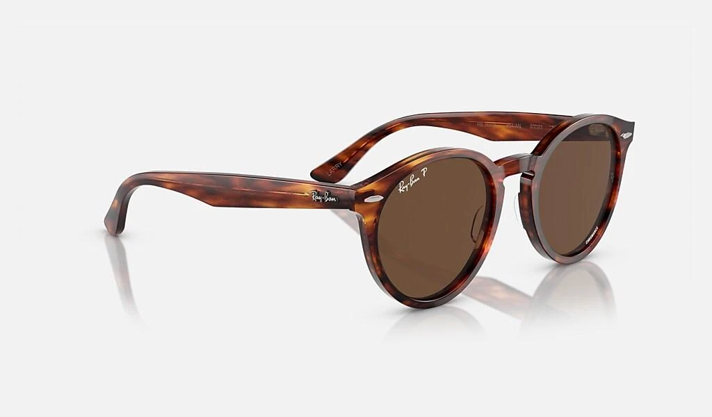 Ray-Ban LARRY 6