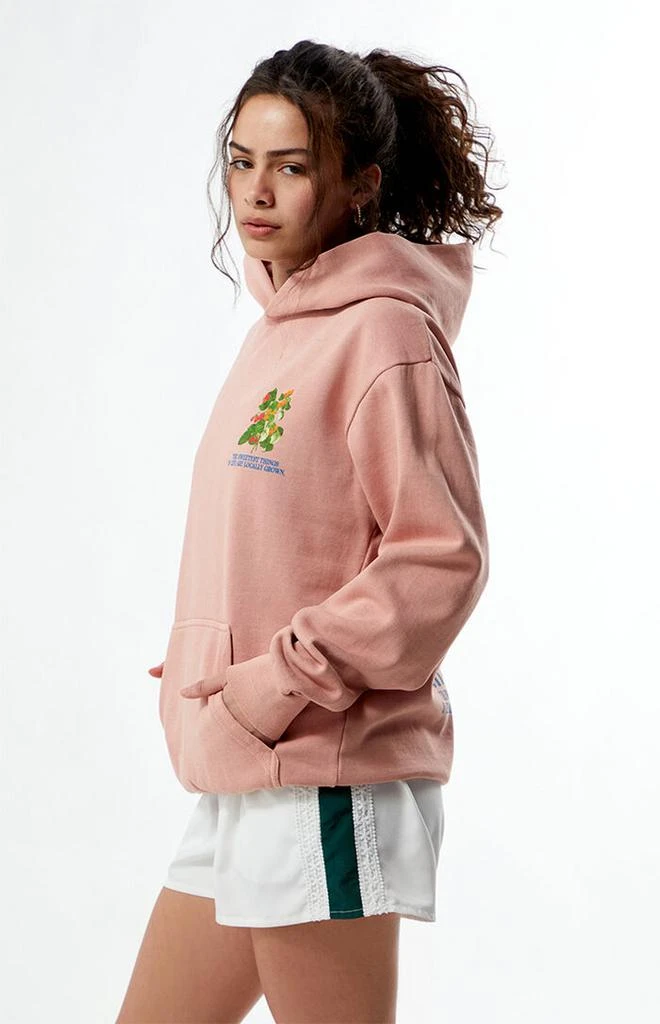 PS / LA Fruit Stand Hoodie 3