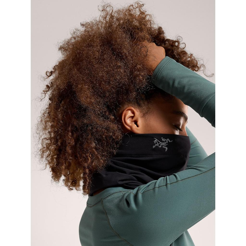 Arc'teryx Arc'teryx Rho Neck Gaiter Long | Versatile Warm Arc'teryx Arc'teryx Rho Neck Gaiter Long | Versatile Warm