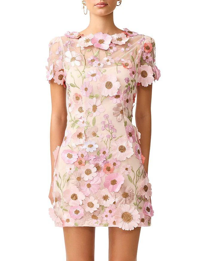 knee length dresses for ladies Aella Embroidered Mini Dress In Pink by Elliatt main image 0