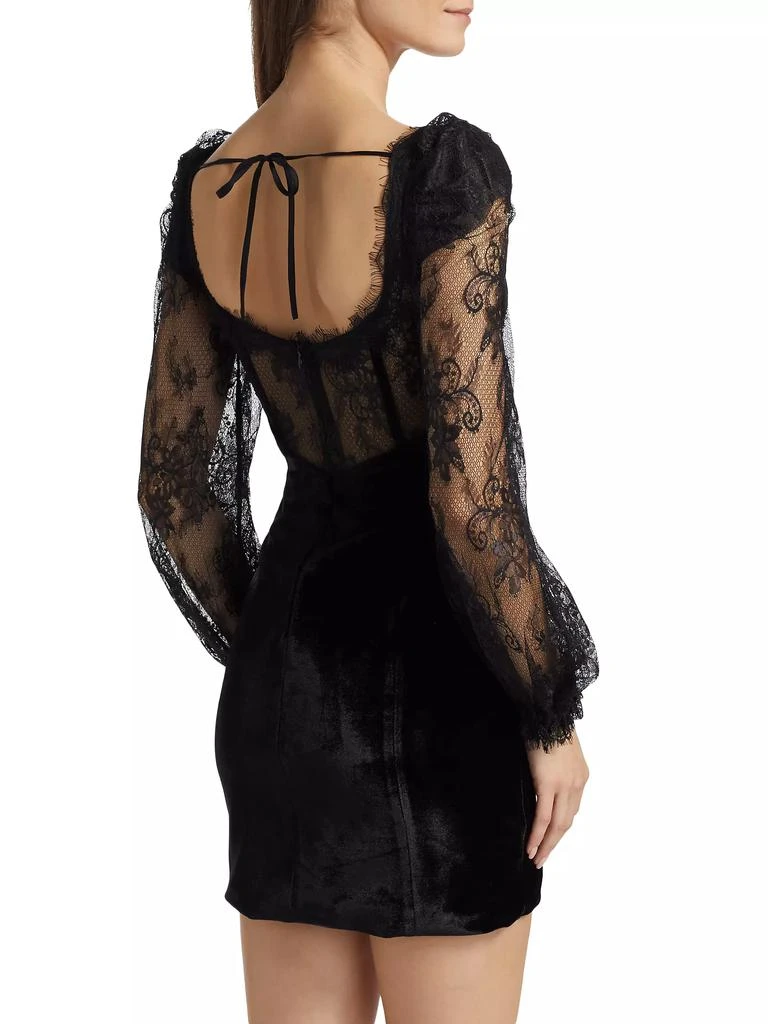 PatBO Lace & Velvet Minidress 5