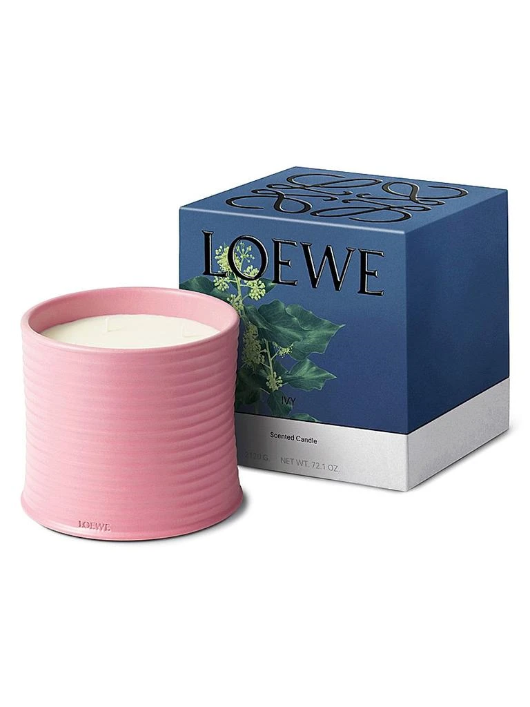 LOEWE Perfumes Ivy Scented Candle 7