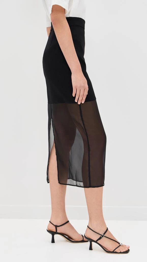 Pixie Market Skirt with Mesh Sheer Bottoms 3