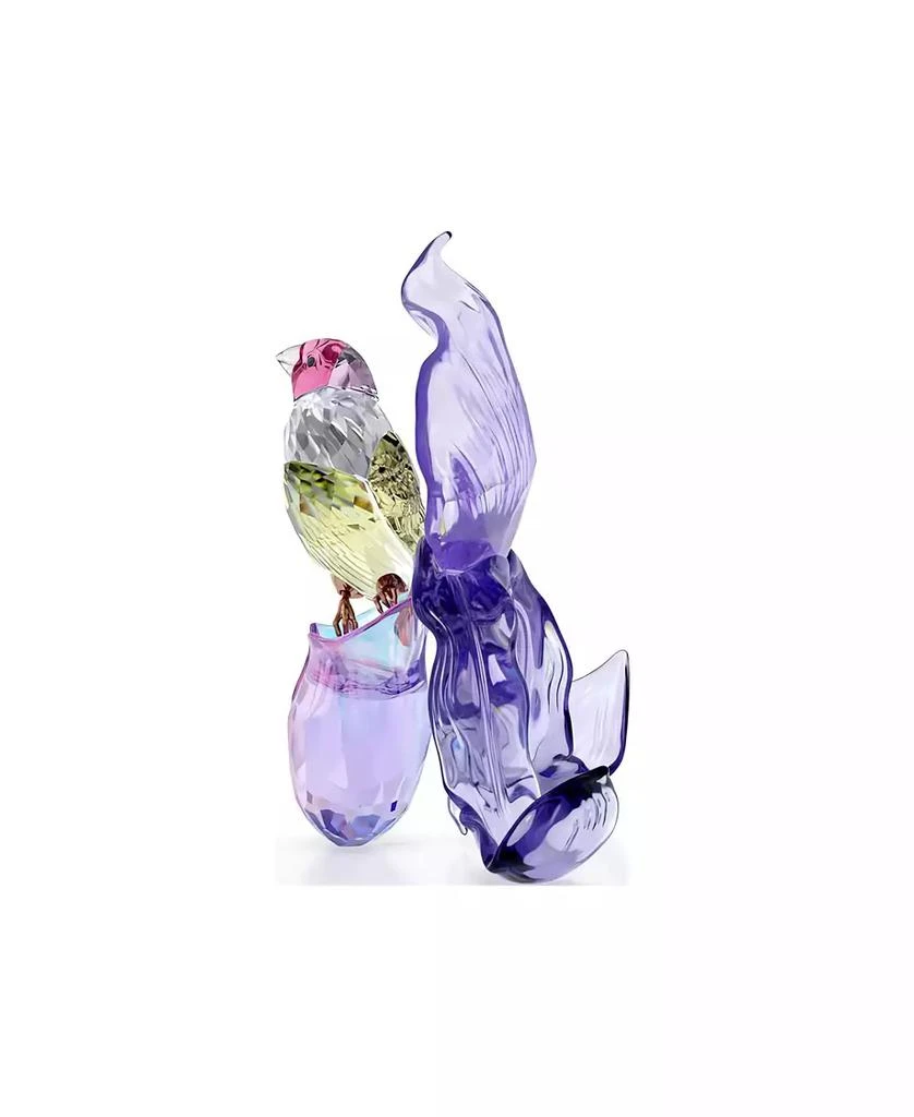 Swarovski Idyllia Gouldian Finch and Orchid Figurine 2