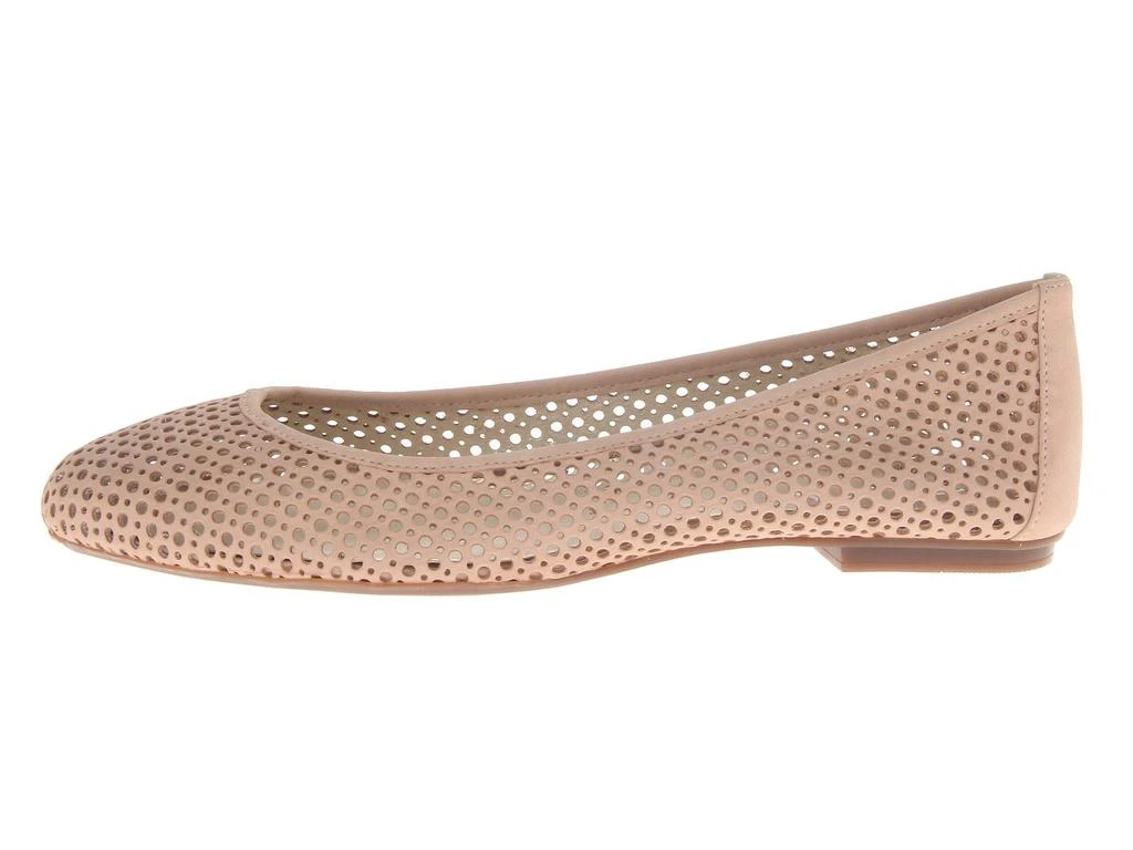 French Sole League 4