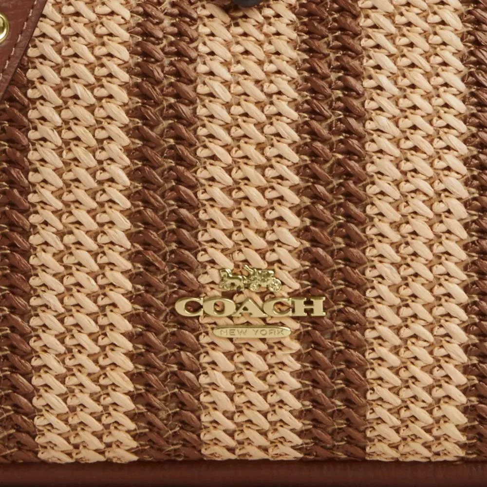 Coach Hadley Mini Crossbody Bag 6