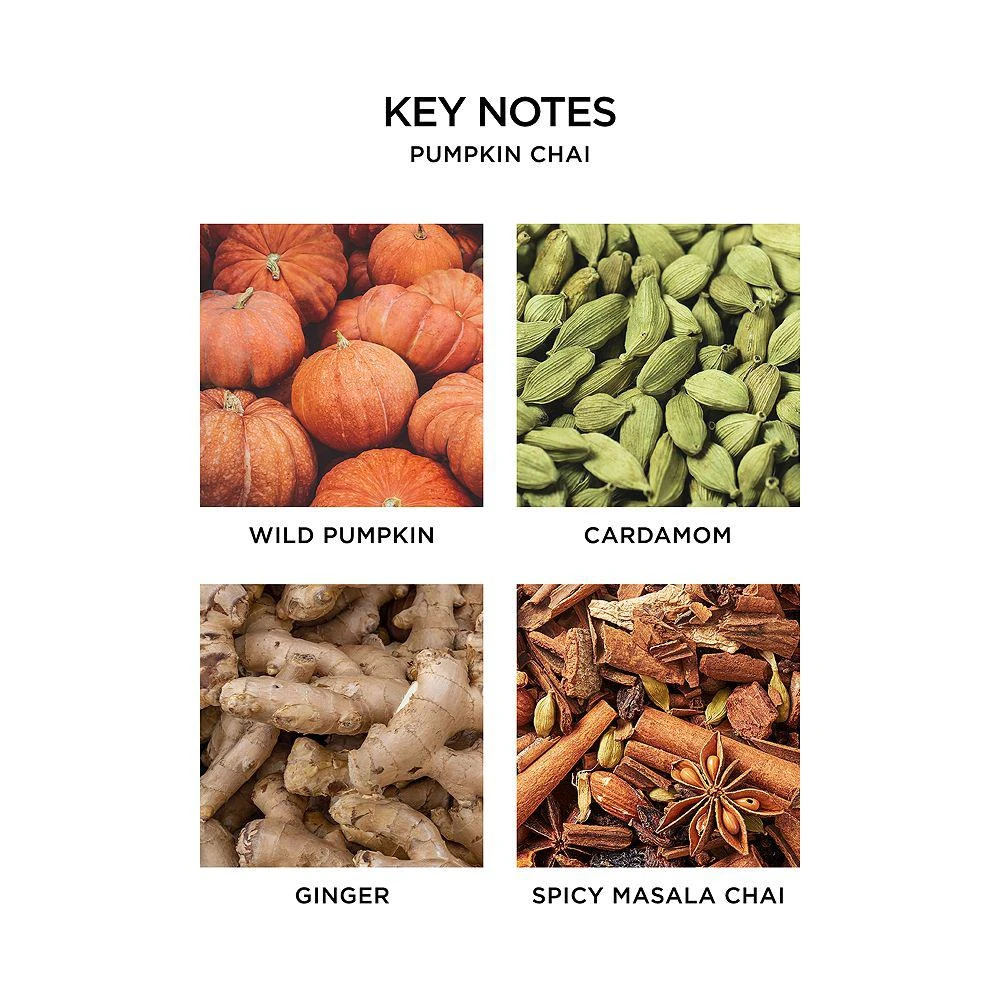 NEST New York NEST Fragrances Pumpkin Chai Liquid Soap 2