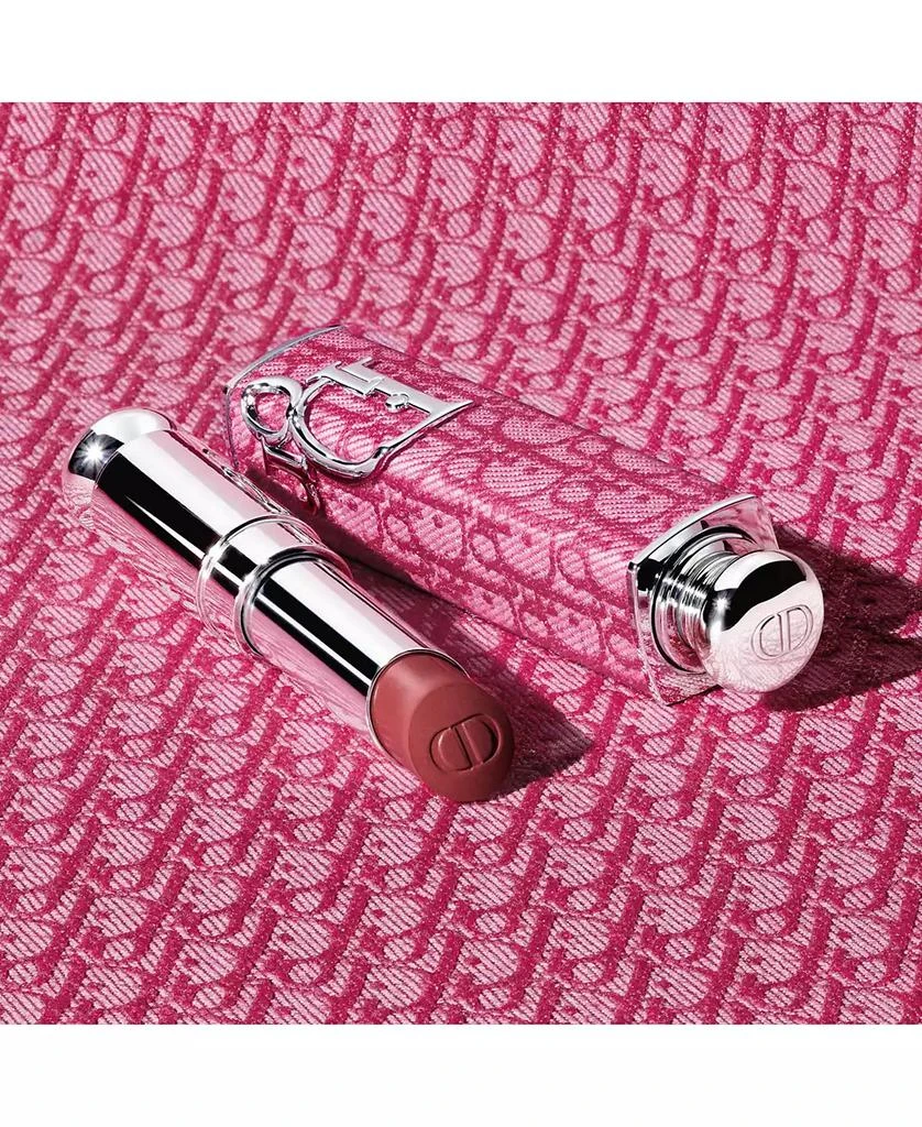 Dior Addict Refillable Couture Lipstick Case 2