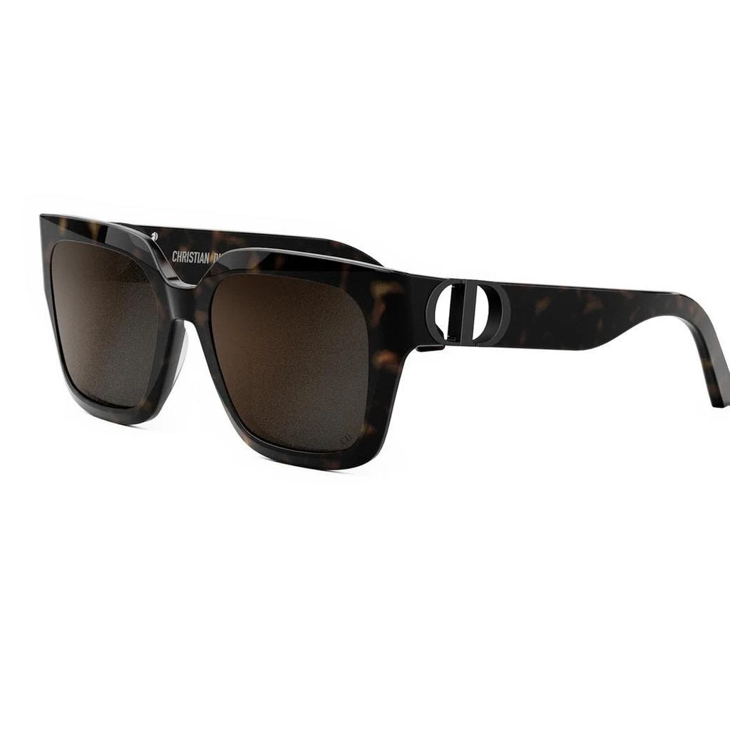 Dior Sunglasses 2