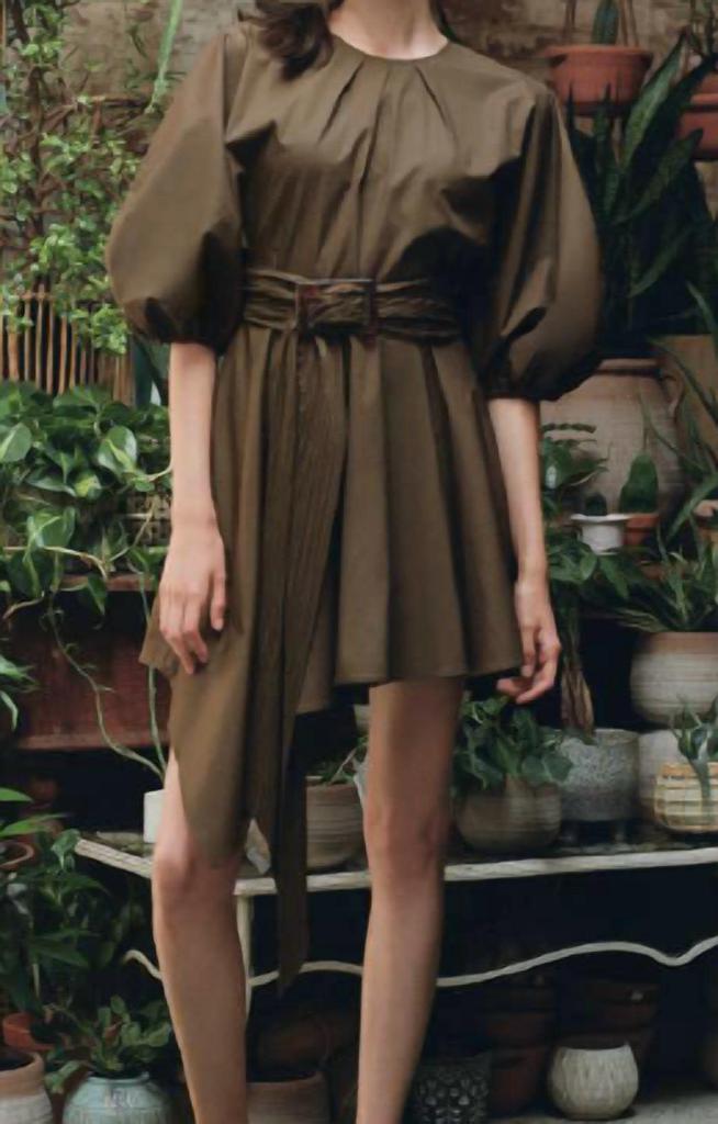 PETERSYN Isidora Mini Dress In Olive