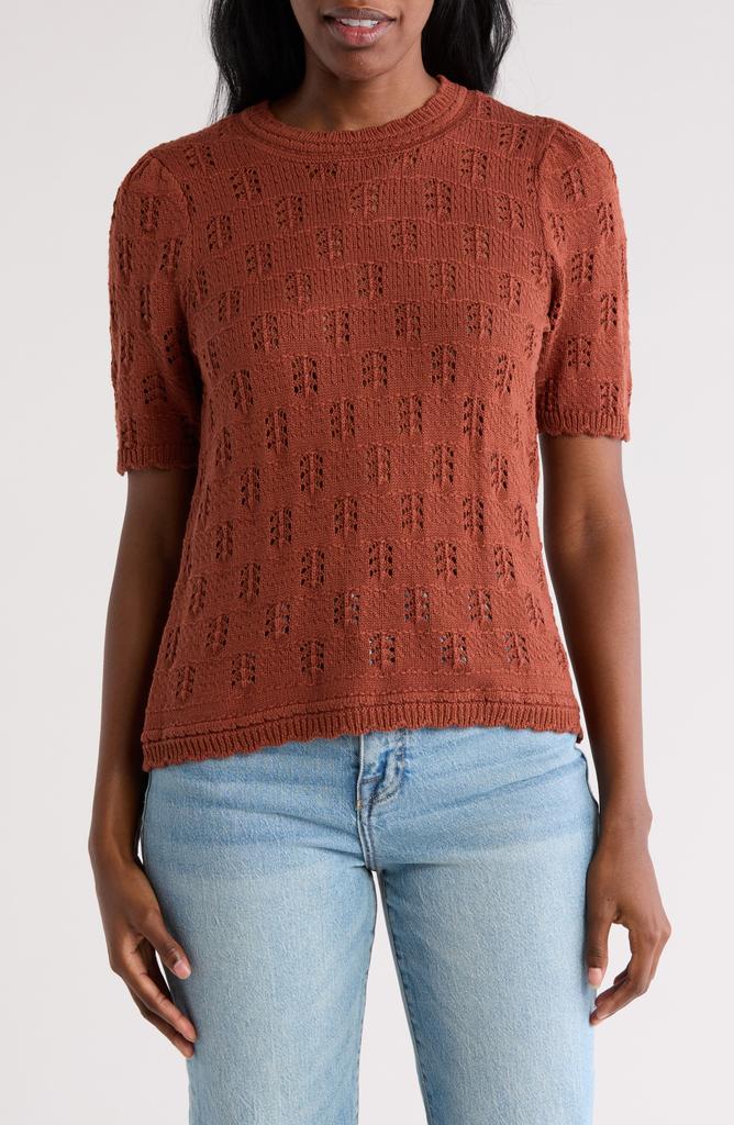 DR2 by Daniel Rainn Scalloped Short Sleeve Pointelle Knit Sweater