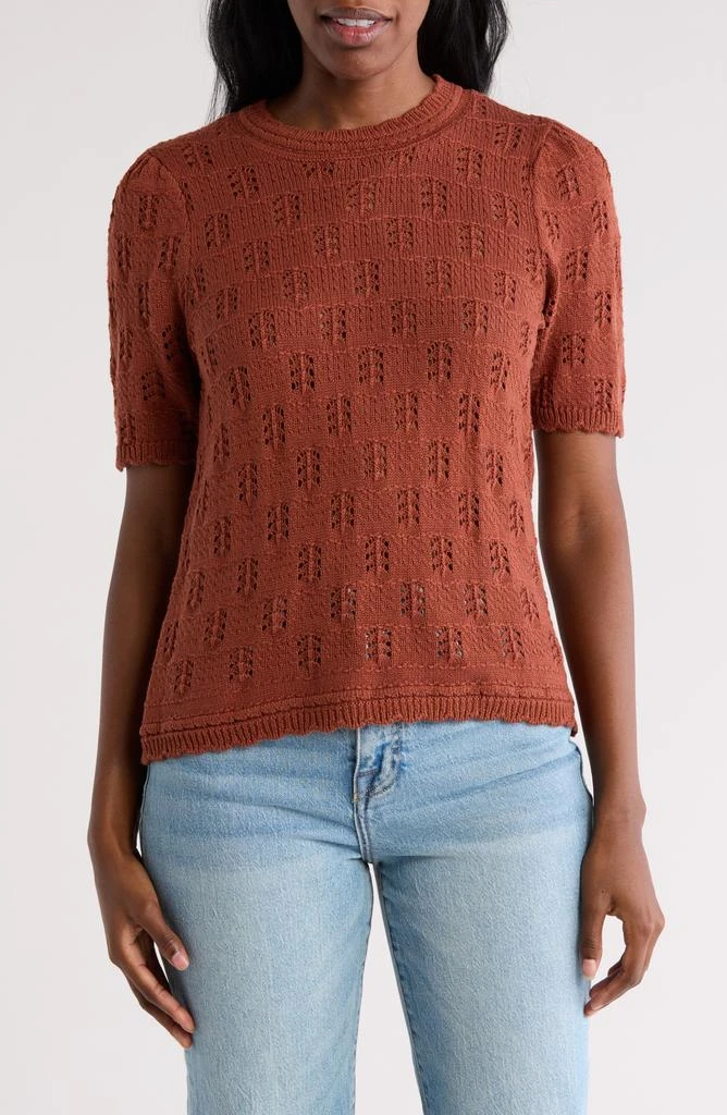 DR2 by Daniel Rainn Scalloped Short Sleeve Pointelle Knit Sweater 1