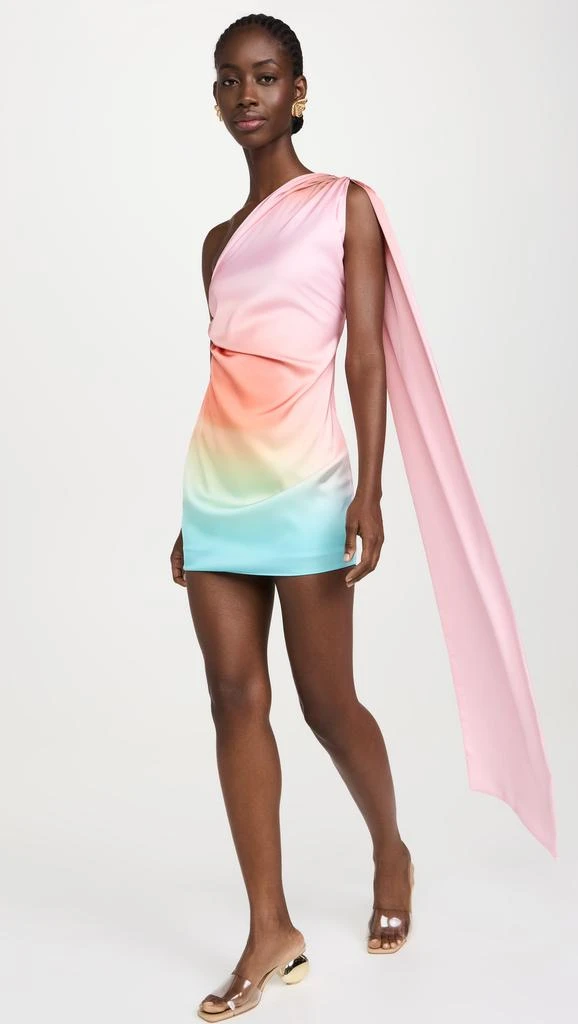 BAOBAB Ari Mini Dress 4