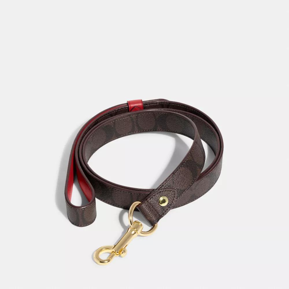 Coach Boxed Large Pet Leash In Signature Canvas