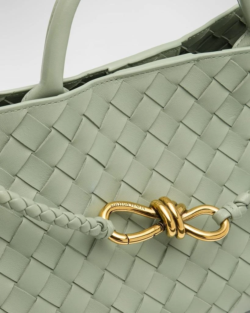 Bottega Veneta Small East-West Andiamo Bag 6