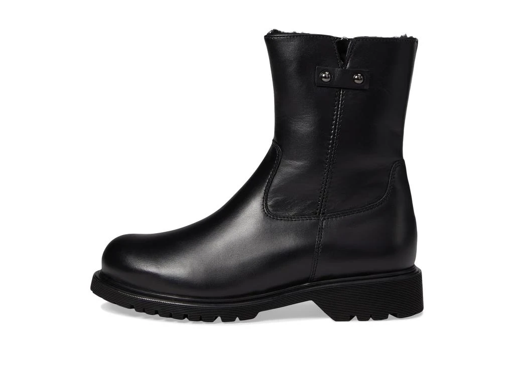 La Canadienne Hunter 4