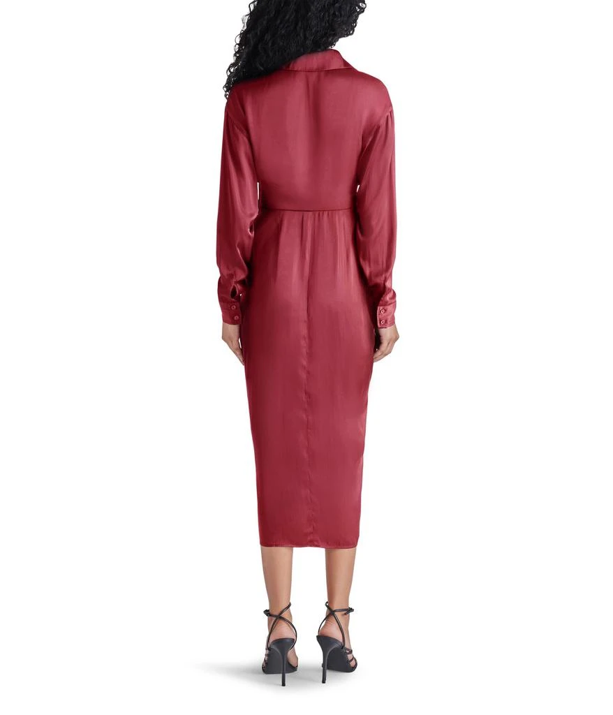 Steve Madden Sula Dress 2