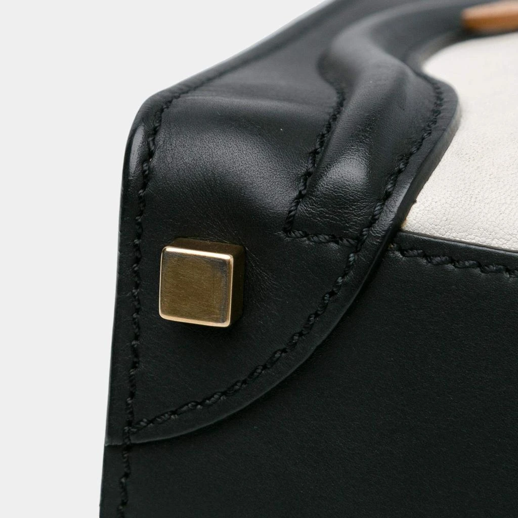 Celine Celine Multicolor Micro Tricolor Luggage Tote 15