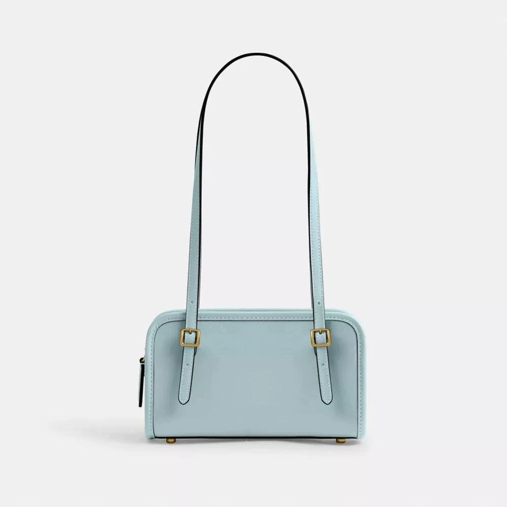 Coach Swing Zip Bag 20