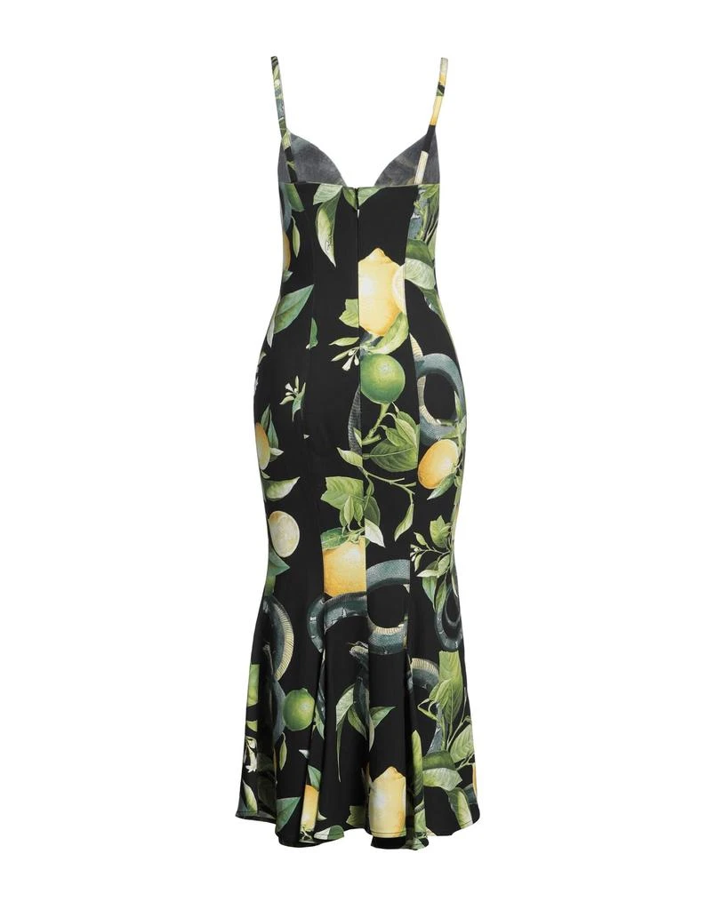 Roberto Cavalli Long dress 2