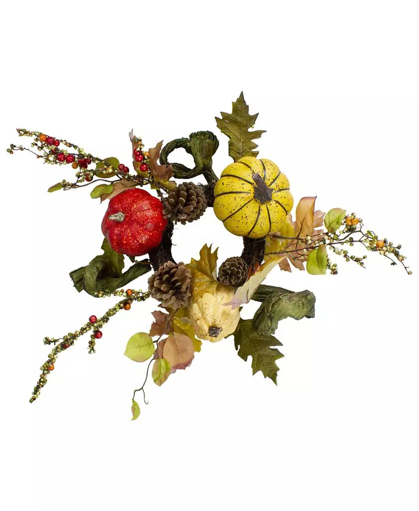 Northlight Pumpkin Berries Foliage and Pine Cone Fall Harvest Wreath Unlit, 13"