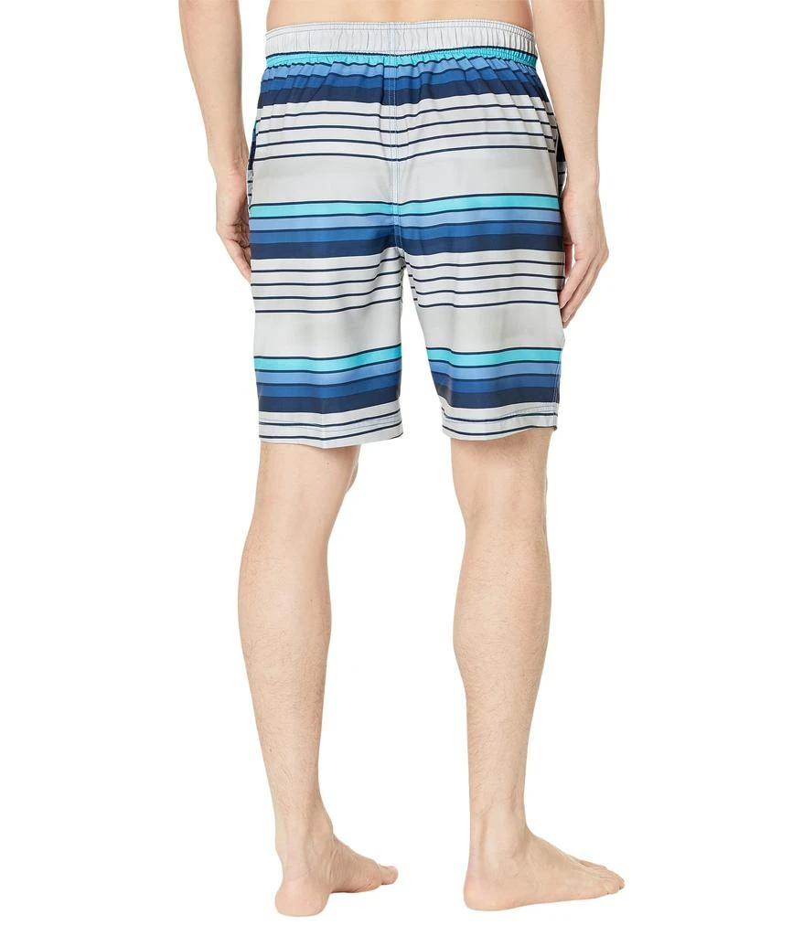 Speedo Thruway Stripe Bondi 20" Boardshorts 2