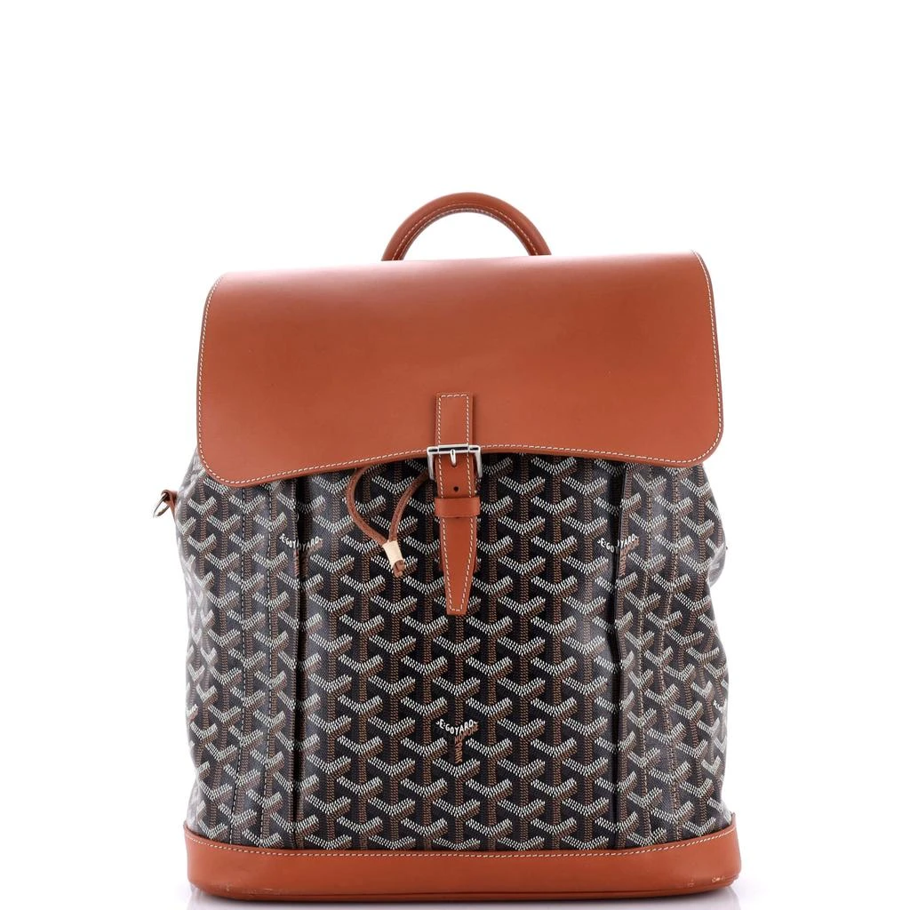 Goyard Alpin Backpack Coated Canvas MM 1