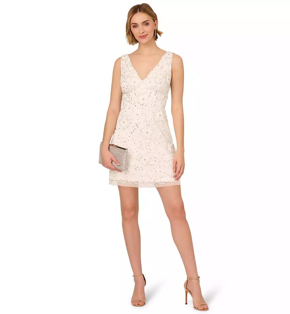 Adrianna Papell Women's Beaded Mesh V-Neck A-Line Dress
