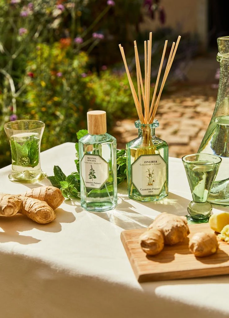 Carriere Freres Fragrance diffuser Ginger - Zingiber 200 ml 4