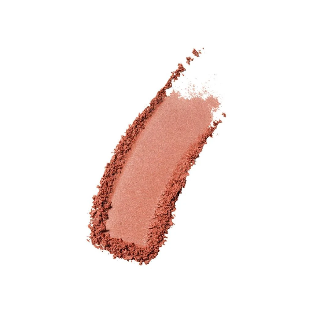 Estée Lauder Pure Color Envy Sculpting Blush 10