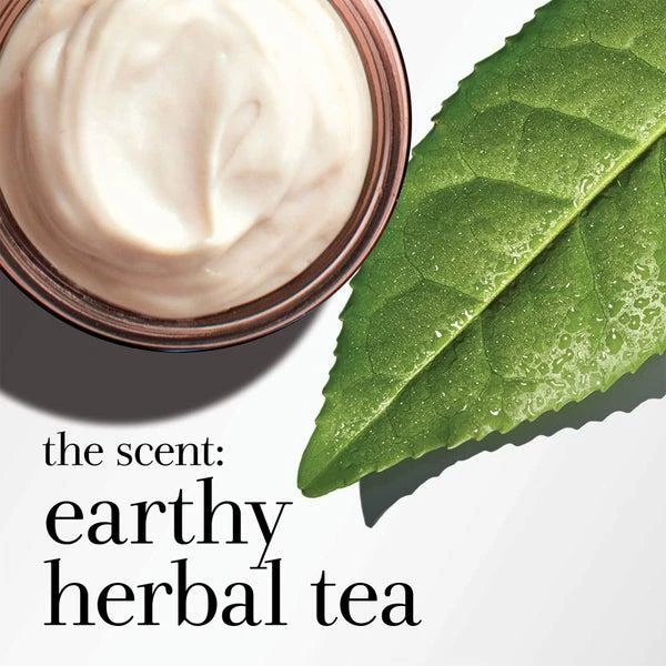 Fresh Fresh Black Tea Firming Overnight Mask 30ml 9