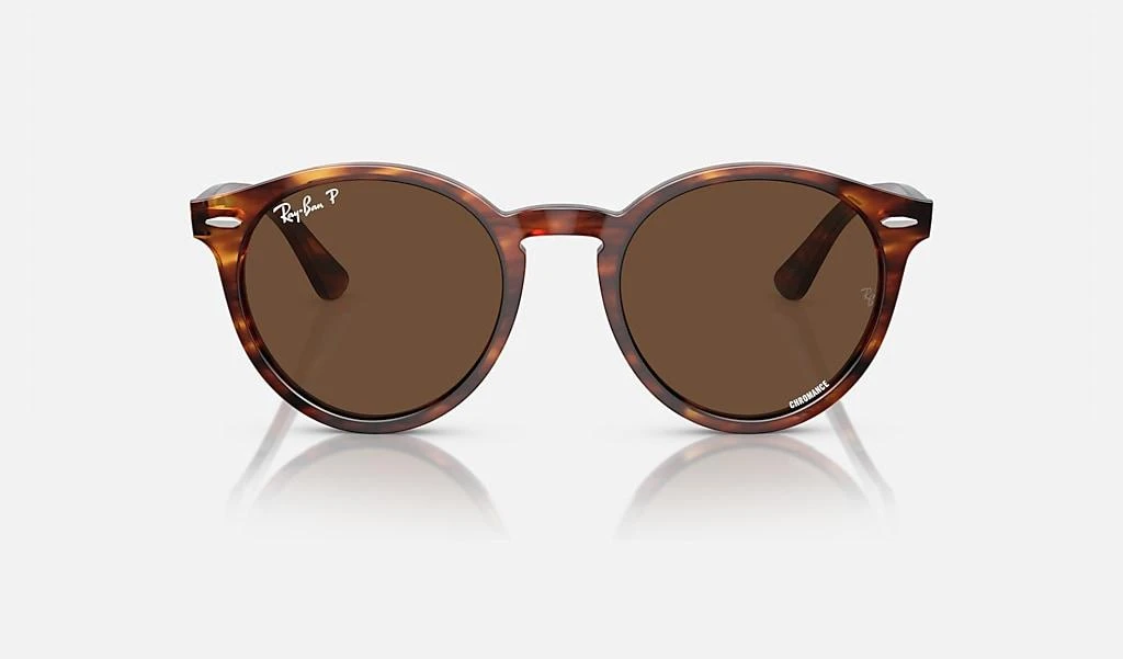 Ray-Ban LARRY 2