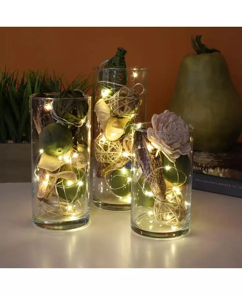 JH Specialties Inc/Lumabase Lumabase Battery Operated Fairy String Lights, Set of 6 4