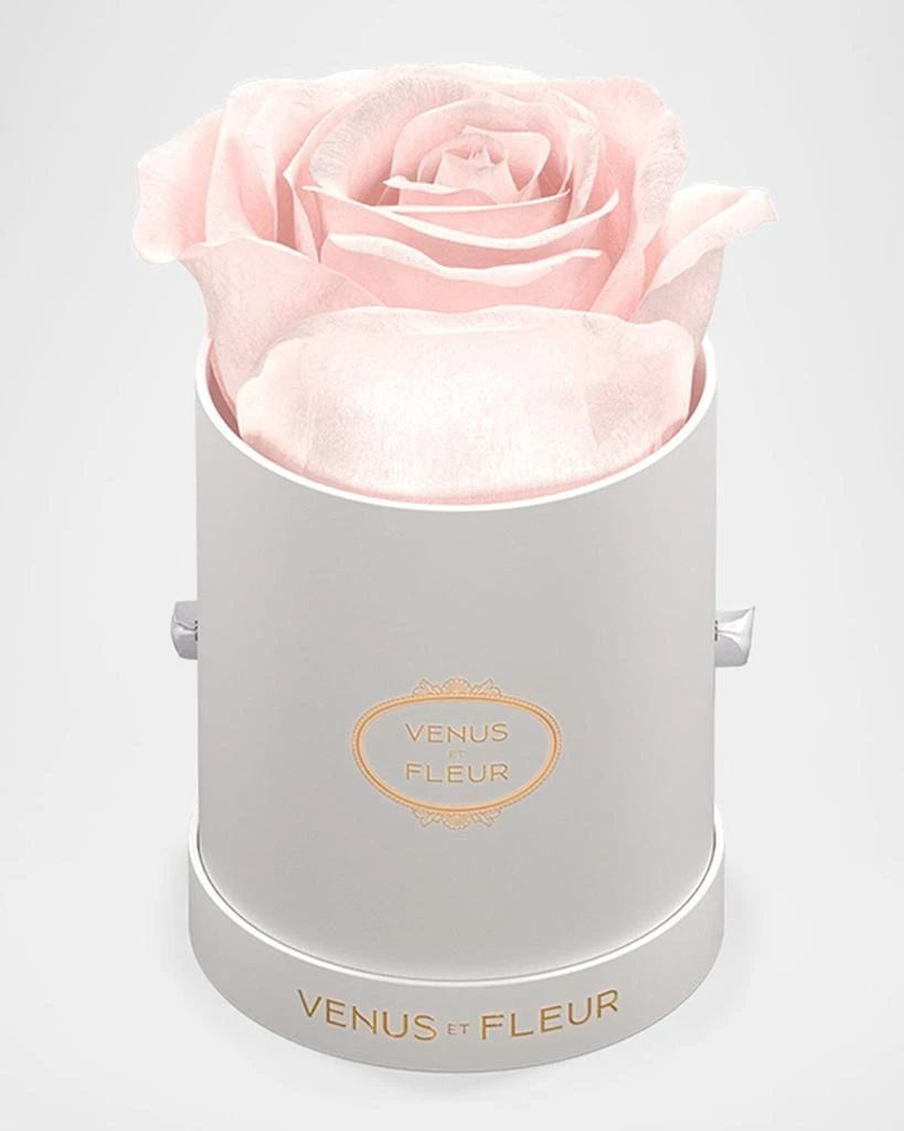 Venus ET Fleur Classic Mini Round Rose Box 1