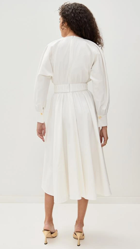 Alexis Viro Dress 2