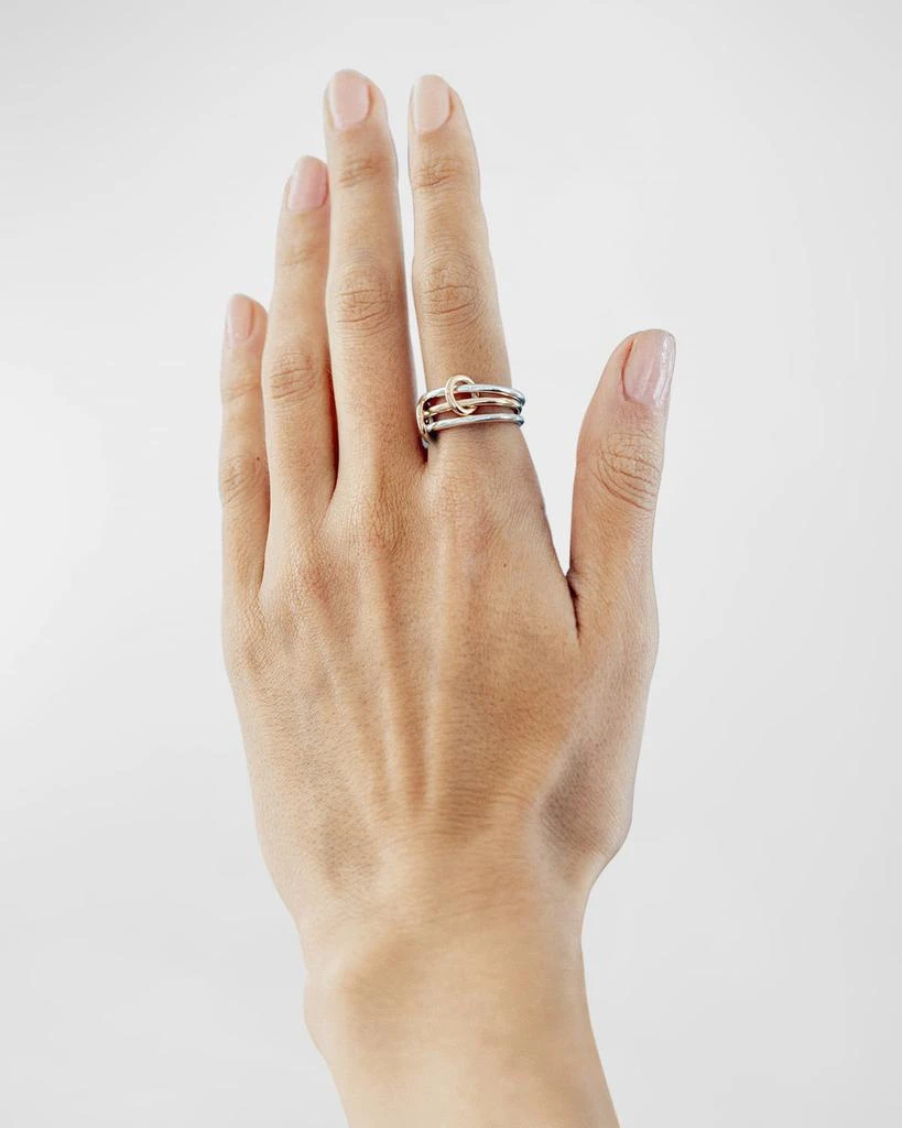 Spinelli Kilcollin Solarium 18K Yellow Gold and Sterling Silver Ring 2